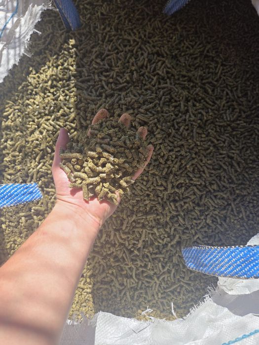 Vand srot de floarea soarelui si rapita presat la rece