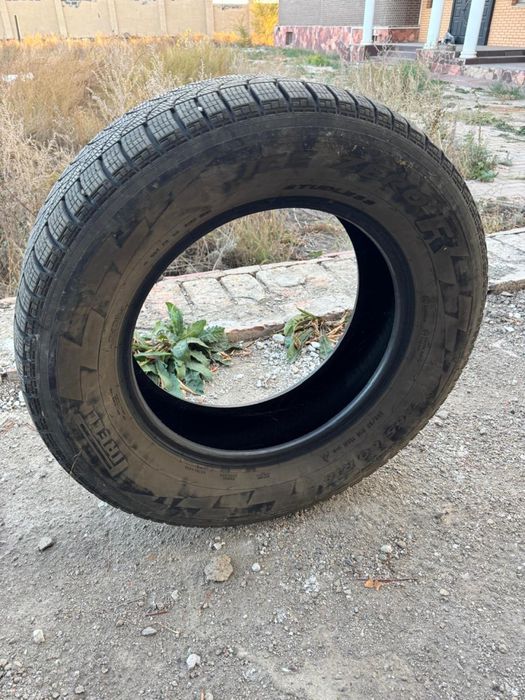 Зимние шины Pirelli