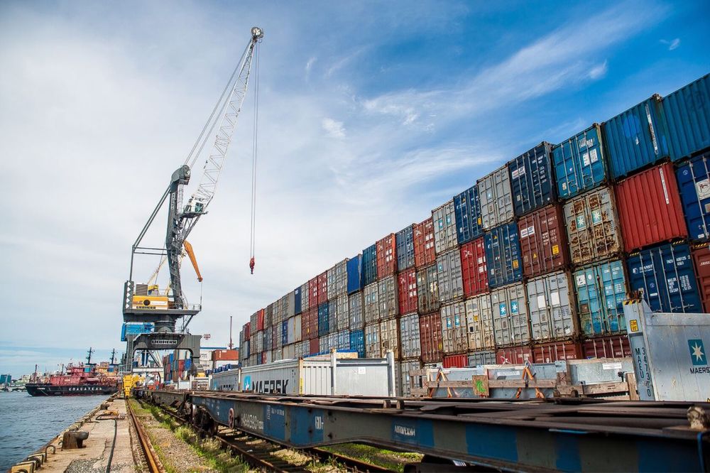 Deklarant Bojxona xizmati