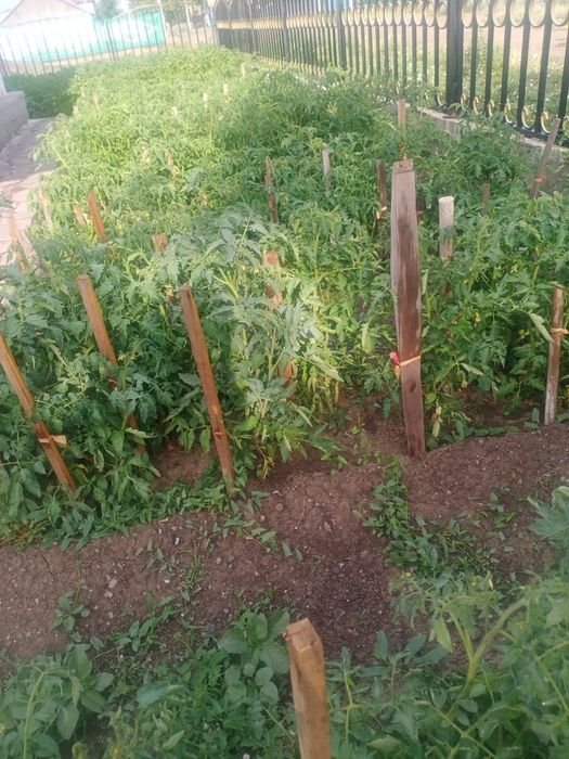 Продам уютный дом