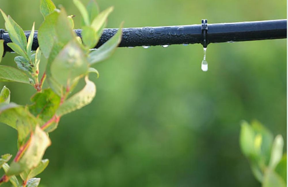 Sistem de irigat domestic