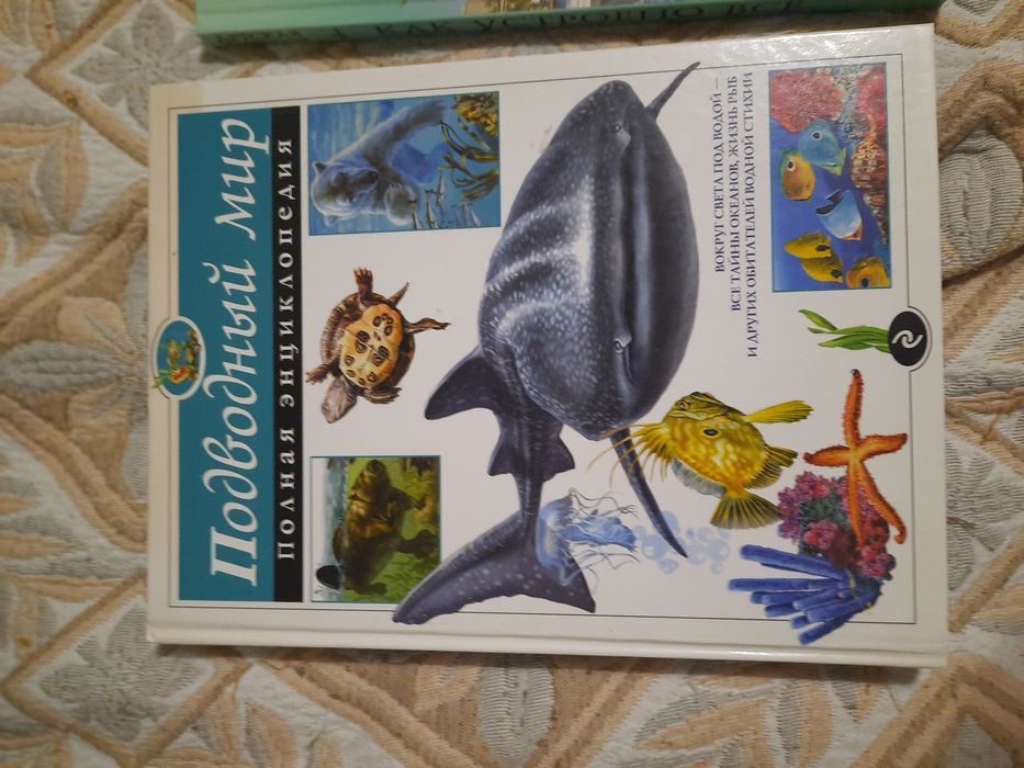 Книга детская энциклопедия разные