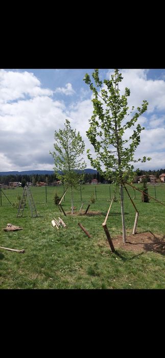 Парцел на Цигов чарк 1250 Квадратни метра