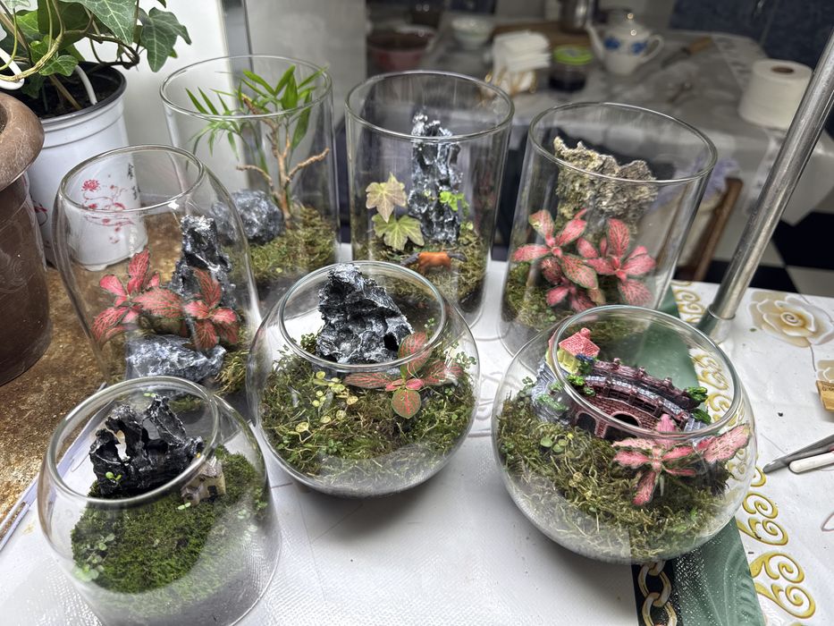 Продам закрытые  и открытые флорариумы