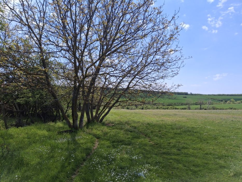 Продава се Къща в с. Стрелец, Област Велико Търново - 70 кв.м за 215 €/кв.м - Снимка #2