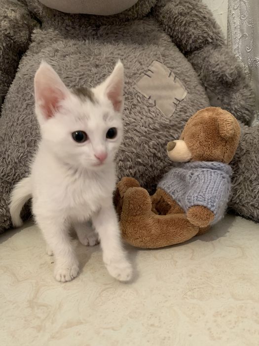 Хорошие руки!