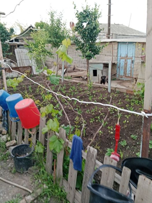 Yer sotiladi.Eski Sergeli.dakumenti bor