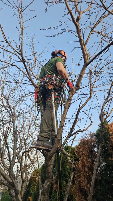Арборист - Стара Загора