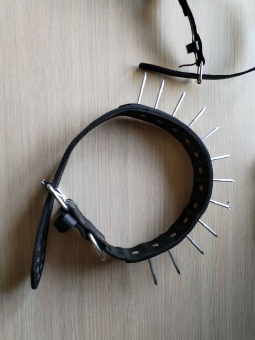 Аксесуары для крупных собак.Новыв