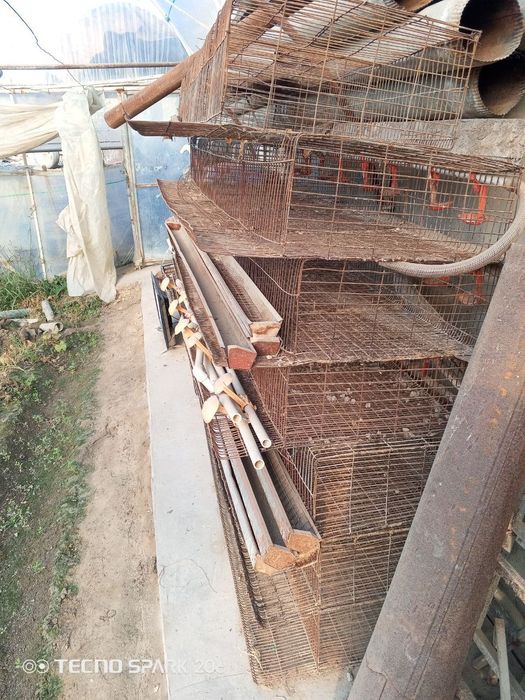 Клетка бедана учун