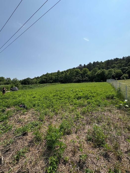 1000 mp (35 min de cluj) în Iclozel - la poalele padurii - INTRAVILAN