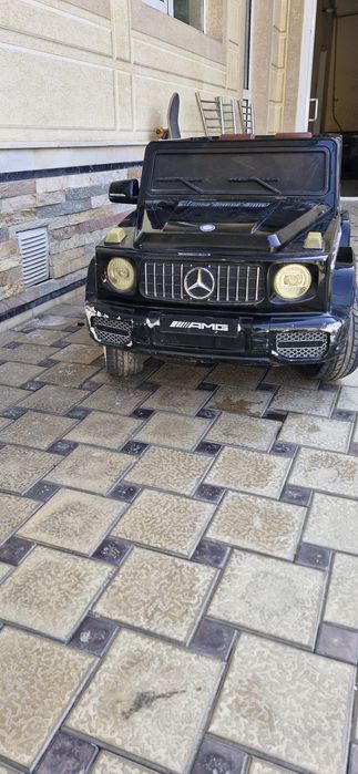 Moshina pultli kotta