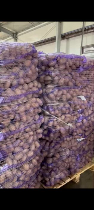 Vand cartofi albi si rosii