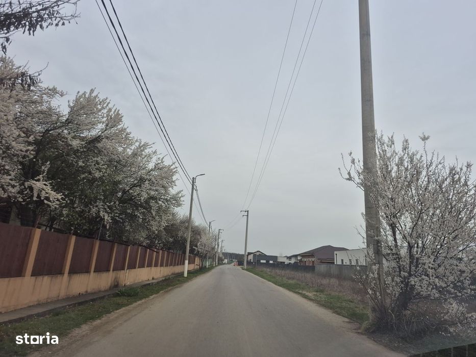 Teren Balotesti, 500 mp, 19500 euro,zona padure Edenland