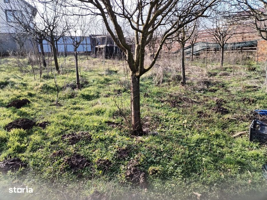 Teren intravilan 345 mp Vidra, deschidere 12 m, ideal pentru