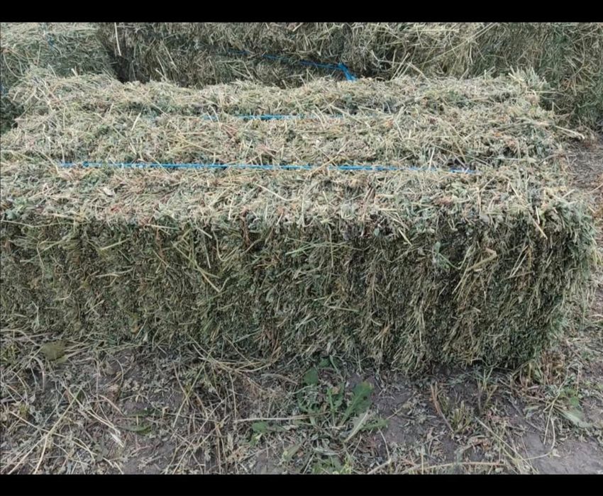 Vand baloti de lucerna