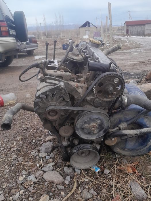 Нормално састаиани