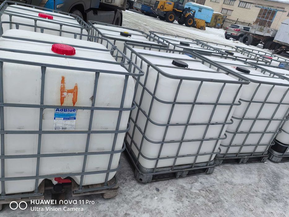 Продам кубышки. Чистые ,красивые , целые.