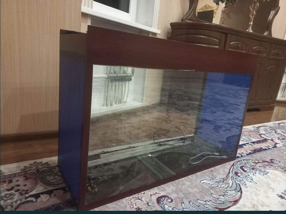 Аквариум срочно продается