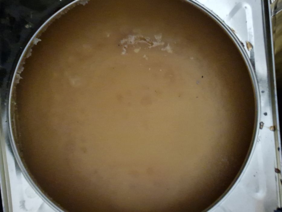 Пчелен билков мед 2025г за Велико Търново