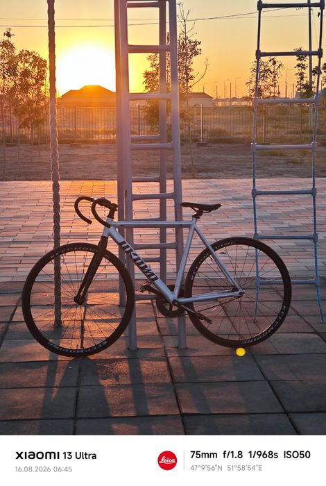fixie unknown singularity