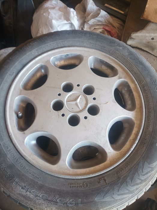 Титаника ромашка 16