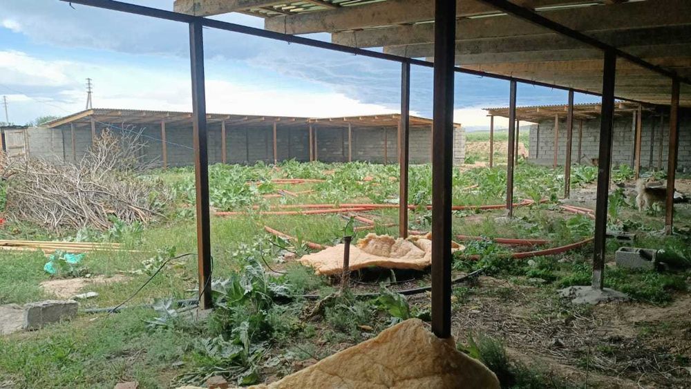 Фазенда сатылады