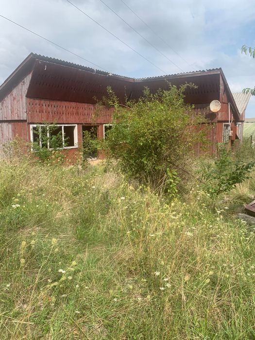 Teren de vanzare la ratos