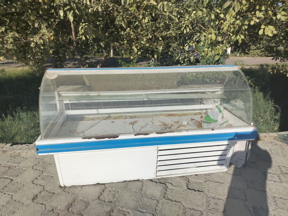 Do'kon uchun Muzlatkich