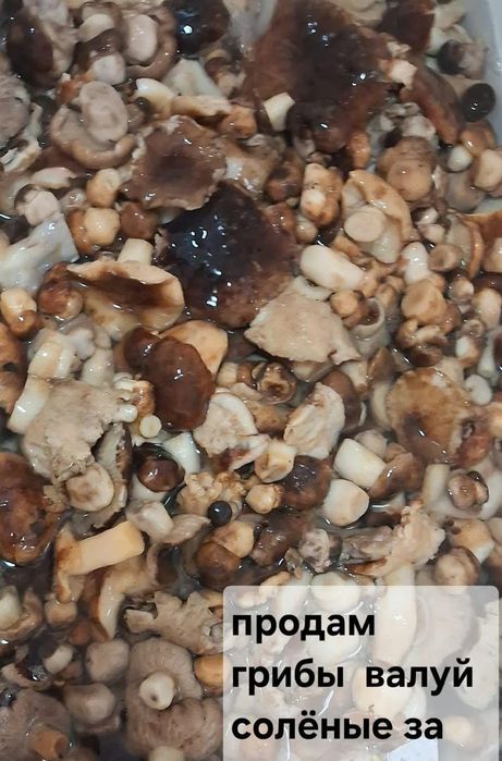 Продам гриб валуй