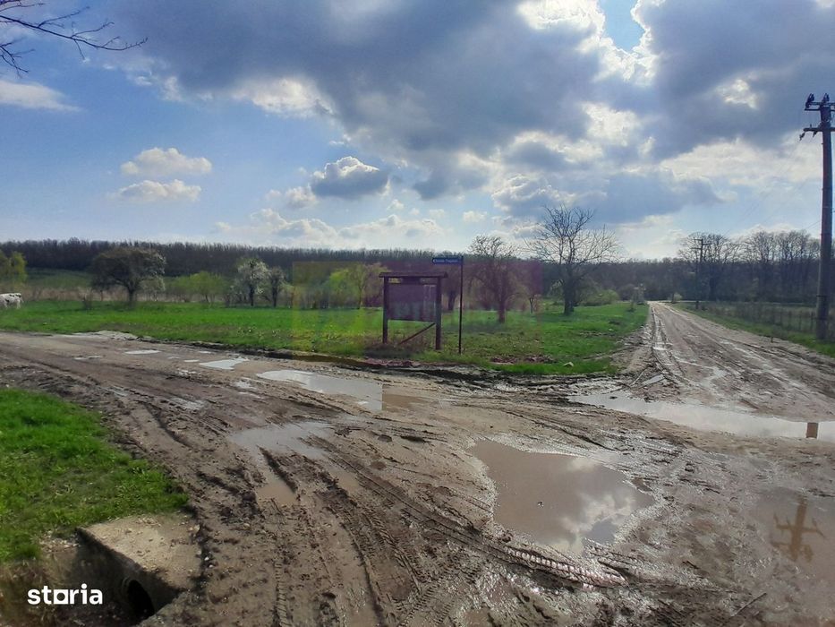 De Vanzare Teren 3400 Mp In Sat Podu Ilfovat / Com Buturugeni (Gr)