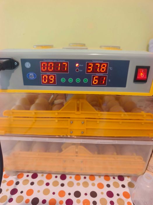 Brahma HD, Porțelan,Albastru,Splash