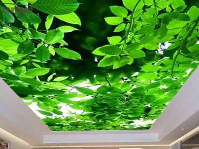 натяжной потолок 3D