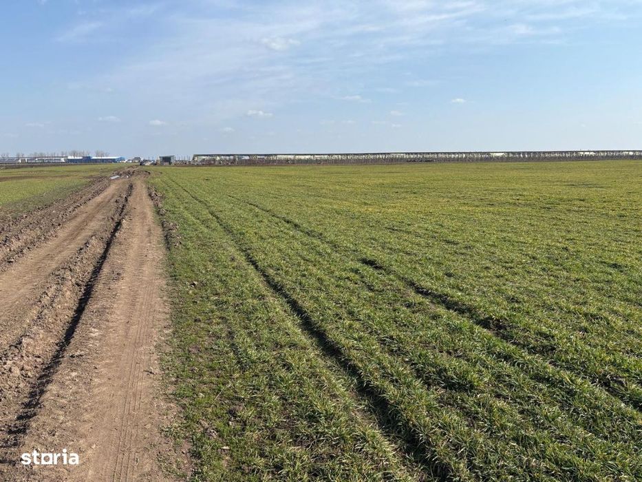 Teren 10700 MP Lotizat in parcele de 500 MP AFUMATI