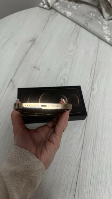 Iphone 12 Pro Max 256 Gb