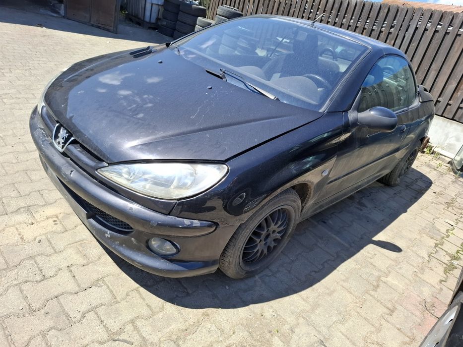Elemente Caroserie Peugeot 206 CC An 2005