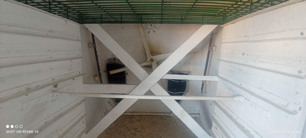 Ibqubotoʻr va vadno'y 1200ta tuxum oladi ichiga