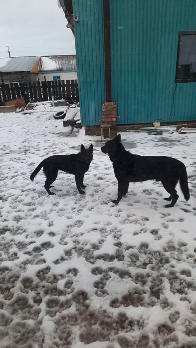 Кабель вео. Для вязки