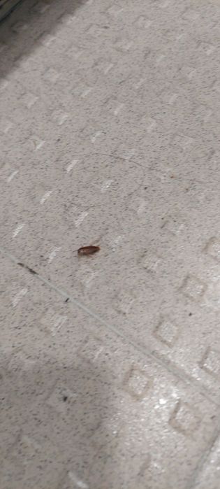 Услуги СЭС. СанЭпидемСтанция