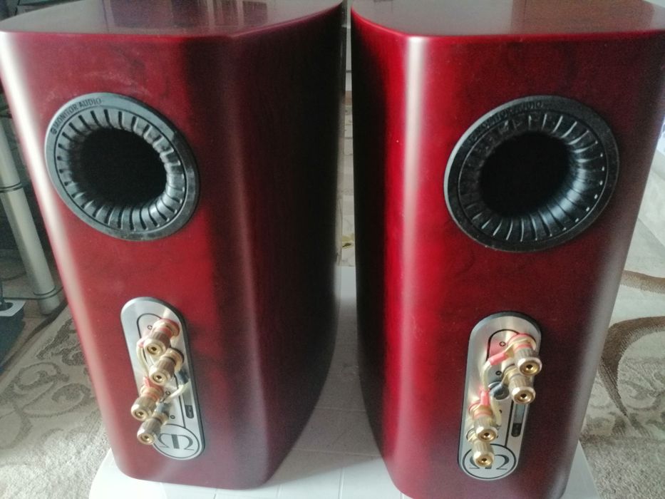 Monitor audio Gold gx 100