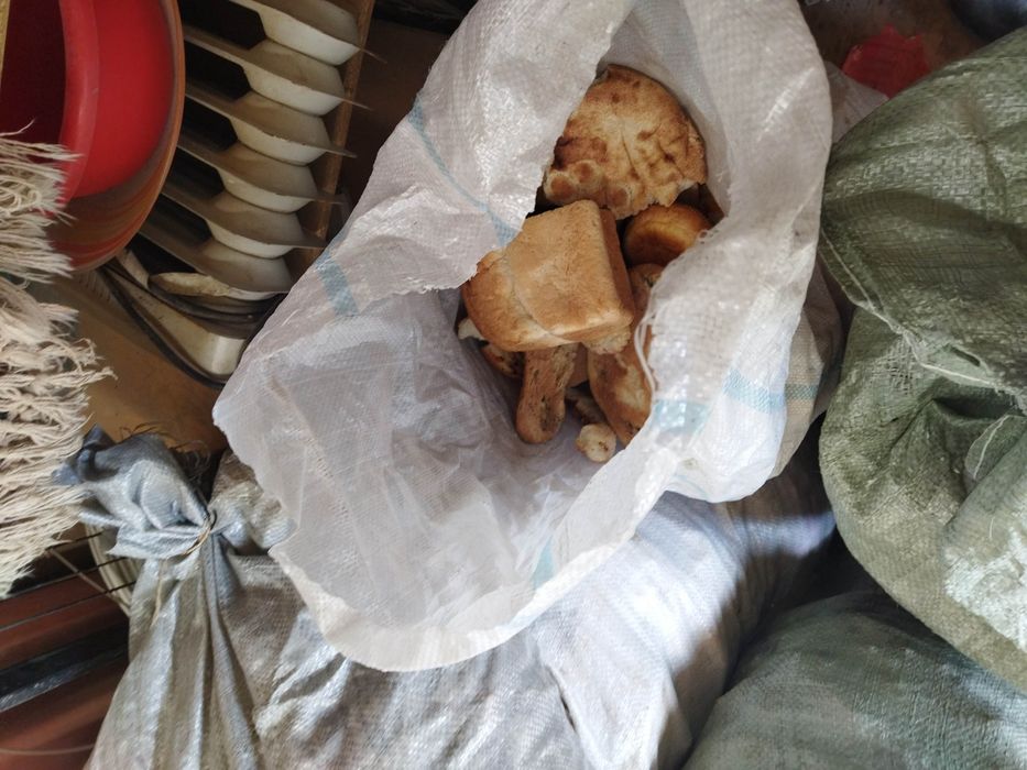 Қаткан нан малга беруге