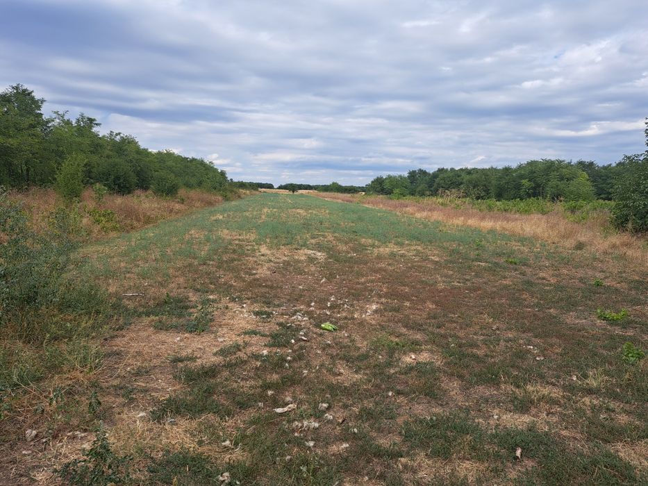 Teren/loc casa Salcioara sat Rasi Ialomita