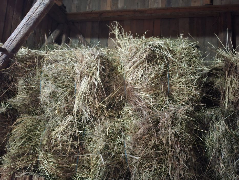 Baloți de fân pentru animale