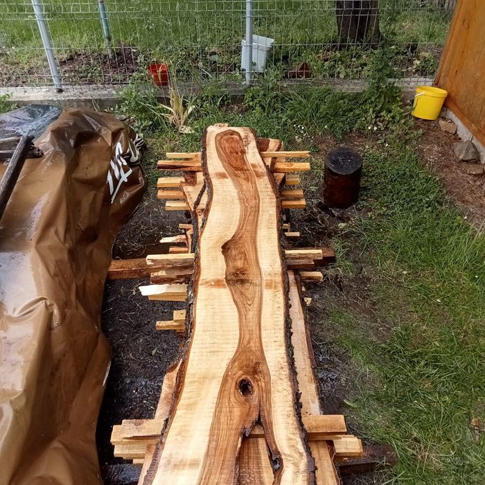 Blaturi și cherestea nuc