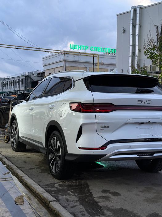 Other Song Pro DM-i Champion 2024 — 3