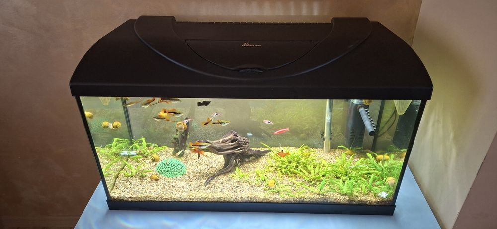Аквариум Diversa Led 80