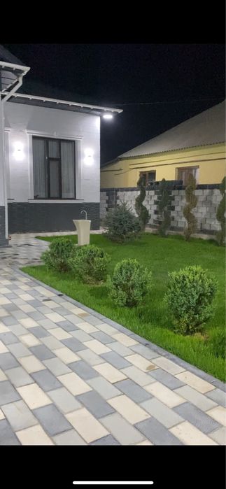 Газон Автополив Дизайн