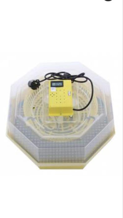 Incubator pentru oua Cleo 5DT