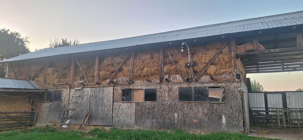 Baloți lucernă coasa 1 si 2