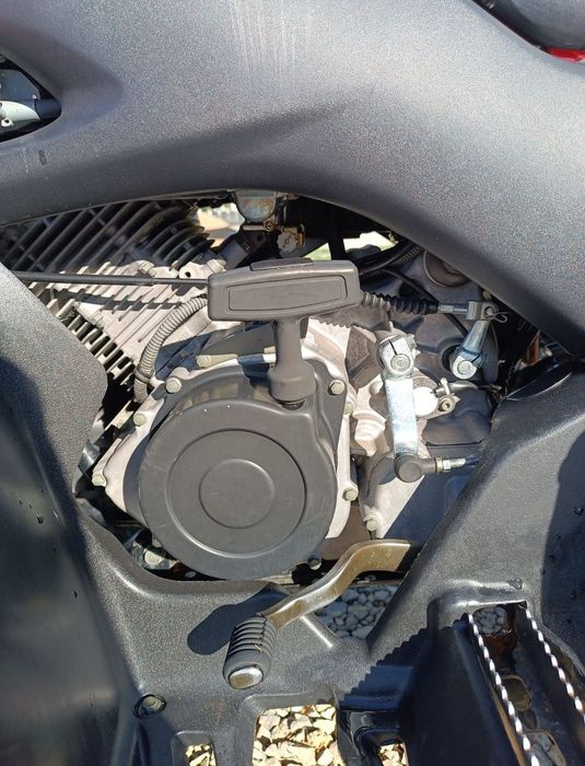 Suzuki ozark 250 2008